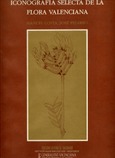 Iconografía selecta de la flora valenciana