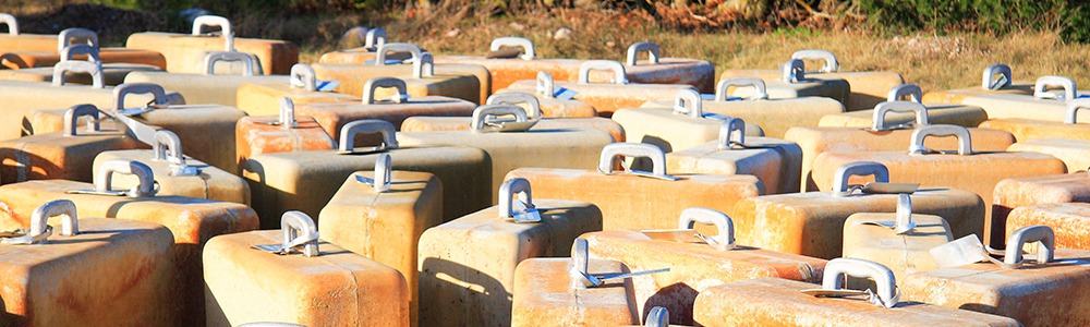 Les Migracions al País Valencià