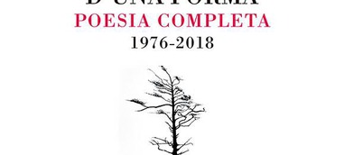 "Defensa d'una forma" en el TOP 10 de ventas 2019 de la Llibreria Fan Set