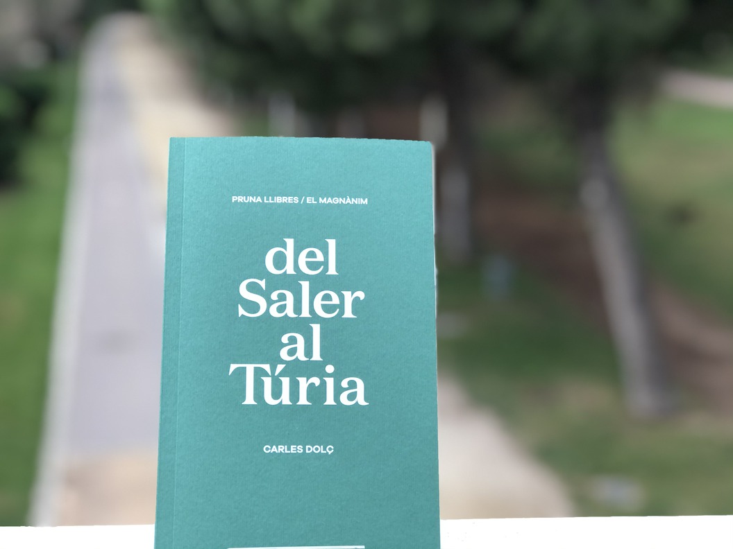 'Del Saler al Túria', la nova obra sobre els moviments ciutadans que van dissenyar València