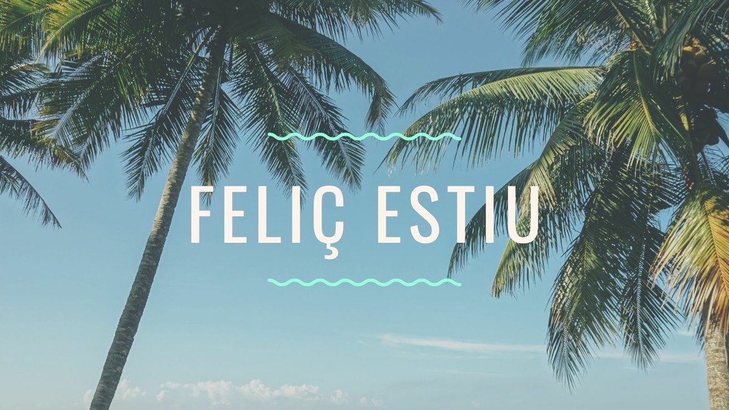 El Magnànim vos desitja feliç estiu!