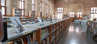 El patrimoni documental de les biblioteques públiques de València