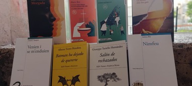 Coneix les obres guanyadores dels Premis València i València Nova 2024