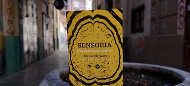 La Institució Alfons el Magnànim publica “Sensoria”, la nova obra de McKenzie Wark sobre el pensament del segle XXI